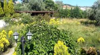 Osman Hamdi Bey Konağı Turizme Kapatıldı İddiası