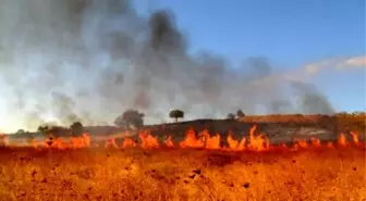 Öztürkmen: 80 İlde Anız Yakmak Yasak Ama Urfa'da Serbest