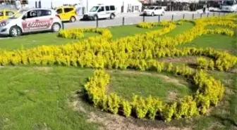 Büyükşehir Belediyesi 500 Bin Adet Çiçek Dikiyor, Erzurum Rengarenk Oluyor