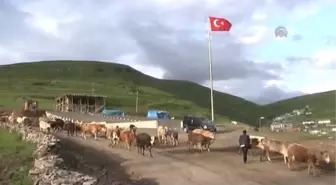 Damal'da Atatürk Silüeti, Görülmeye Başlandı