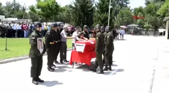 Define Avcılarını Yakalamak İsteyen Jandarma Uzman Çavuş Şehit Oldu, 2 Er de Yaralandı -