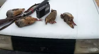 Korkuteli'nde Kaçak Ava 3 Bin TL Ceza