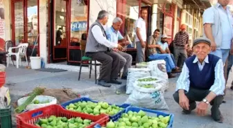 İlek Fiyatları Tavan Yaptı