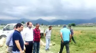 Erbaa Belediyesi'nden Kuraklık Önlemi