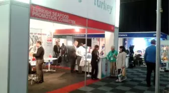 Türk Balıkları Güney Afrika Yolcusu