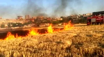 Batman İl Gıda, Tarım Ve Hayvancılık Müdürlüğünden Anız Uyarısı