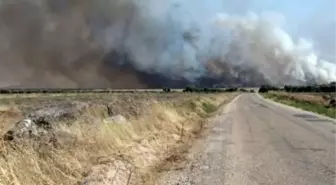 DAEŞ Türkiye Korkusundan Ne Yapacağını Şaşırdı
