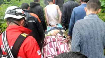 Dün Dere Yatağına Düştü, Bugün Kurtarılabildi
