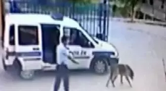 Police Officer May Face Dismissal For Shooting Dog İn Western Turkey