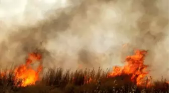 Diyarbakır'da Korkutan Anız Yangını