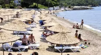 Kandıra Sahillerindeki Plajlarda Hareketlilik Başladı