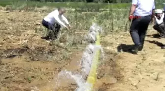 İzmir Emirli ve Mescitli'de Baraj Suyu Sevinci