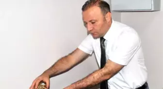 Kornea Kardeşliği