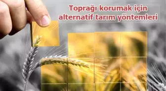 Toprağı Korumak İçin Alternatif Tarım Yöntemleri