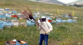 Yağmur Arıcıları Olumsuz Etkiledi