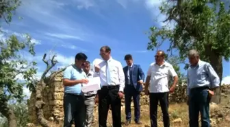 Mazıdağı'nda 'Yeşil Kuşak' Projesi Uygulamaya Başlanacak