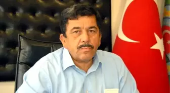 Düzce'de Fındıkta Rekolte Tahmini 70 Bin Ton