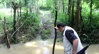 Samsun'da Hayvan Otlatmaya Giden Çocuk Derede Boğuldu