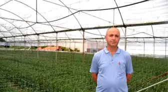 Kriz Ortamı Kesme Çiçeği Etkiler'