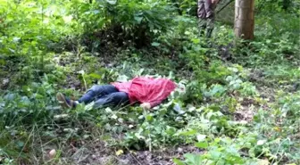 Minik Elif, Hayvan Otlatmaya Giderken Derede Boğuldu