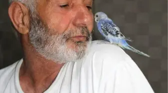 Omzundan Hiç İnmiyor