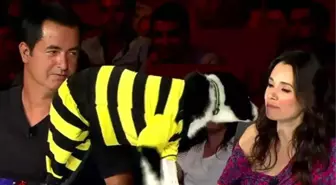 Özgü Namal ve Alf Karşı Karşıya Geldi! Tam O Anda...