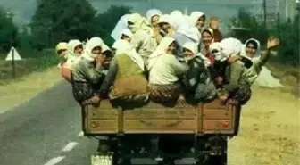 Tarım İşçiliğinde Kadınlar Ucuza Çalıştırılıyor, Şartları da Çok Kötü