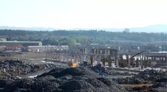 Tuzla Marina Projesi'ndeki Yunus Parkı İçin İmza Kampanyası