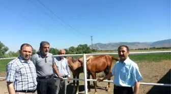 Muş'ta Buğday ve Çiftlikler İncelendi
