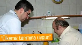 Bitkisel Verimi Artıran Bakteri Keşfedildi