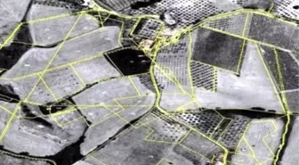 Tapu'da 22-A Çalışmaları Devam Ediyor