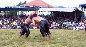 Aybastı'da Festival Heyecanı