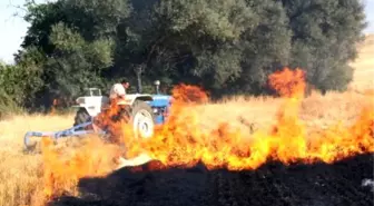 Çanakkale'de Tarım Arazisi Yangını