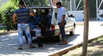 Zenginler Süs Köpeklerini, Çiftçiler Çoban Köpeklerini Gözü Gibi Bakıyor