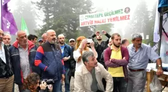 Ödp Eş Başkanı Taş, Cerattepe'de İncelemelerde Bulundu