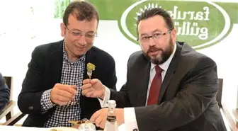 Faruk Güllüoğlu'nun Baklava Zaferi! Dünya Liderinin Listesine Girdi