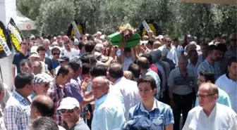 Gazeteci Kadir Tamer'in Acı Günü