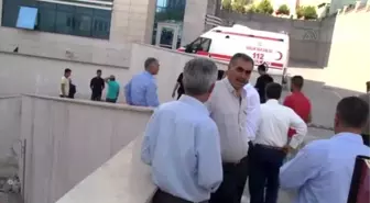 Siirt'te Trafik Kazaları: 1 Ölü, 7 Yaralı