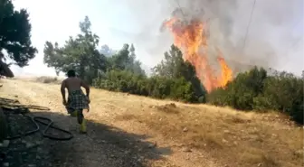 Isparta'da Orman Yangını