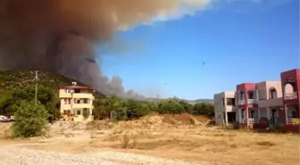 Mersin'de Orman Yangını