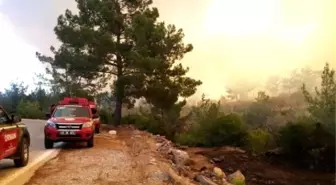 Mersin'deki Orman Yangını Sürüyor