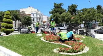 Muğla'da Üretilen Çiçekler Muğla'yı Süslüyor