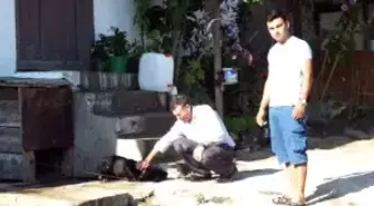 Köpeğini Vuran Köy İmamını Şikayet Edince İşinden Oldu