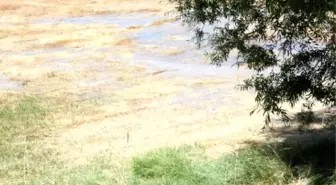 Sulama Kanalında Patlamalar Oluştu