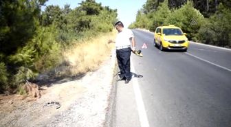 Bodrum'da Trafik Kazası: 1 Yaralı