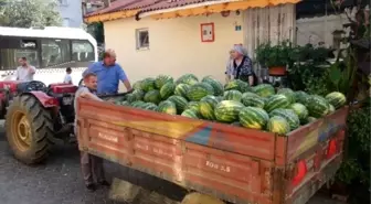 Bütün Köy Bedava Karpuza Doydu