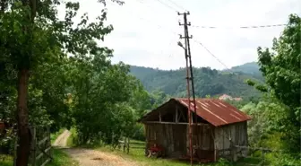 Samsun'da Aydınlatma Direğinden Düşerek Yaralandı