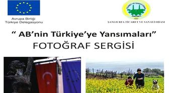 Ödüllü Fotolar Sanatseverlere Sunulacak
