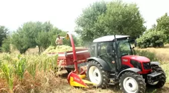 Tekirdağ'da Silaj Hasadı Başladı