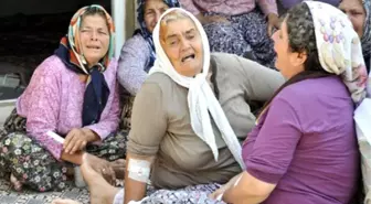 Antalyalı Şehidin Baba Değil Dede Ocağına Ateş Düştü